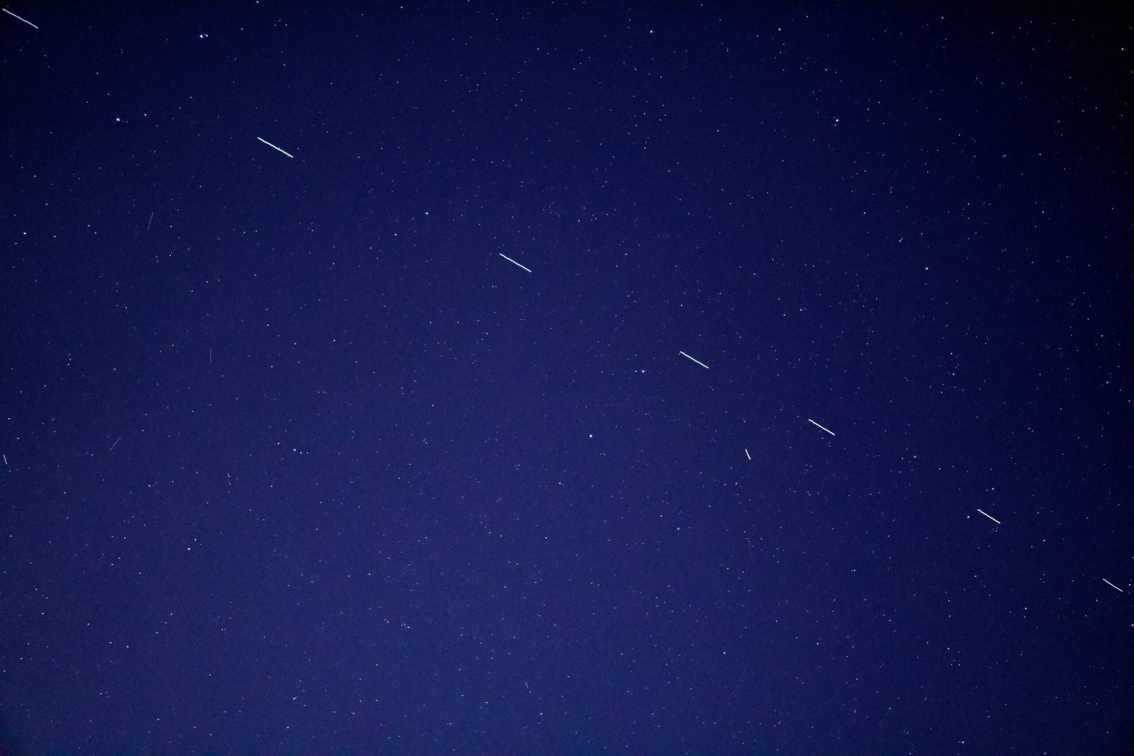 birds flying in the sky during night time