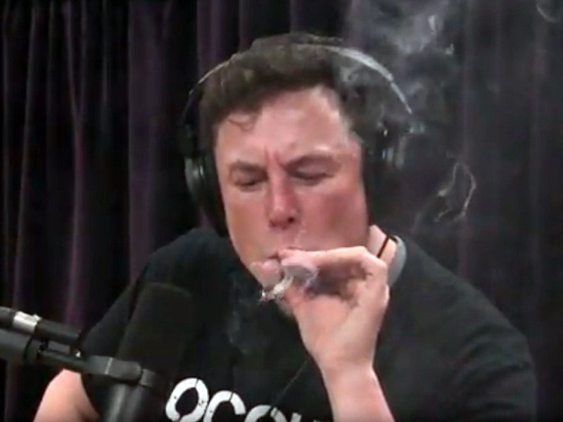elon elon